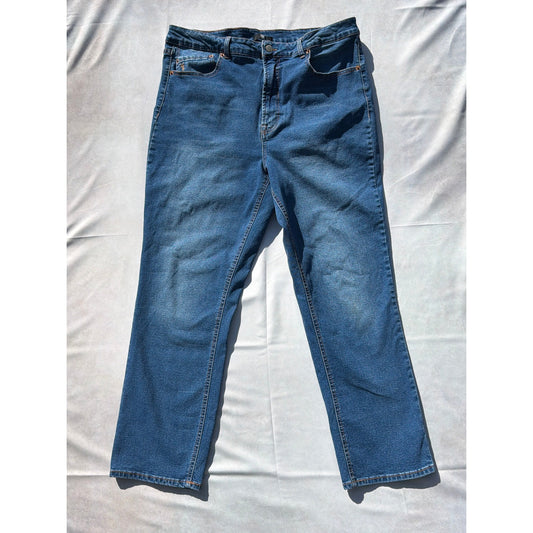 Frye Size 16 Blue High Rise Slim Fit Jeans EUC