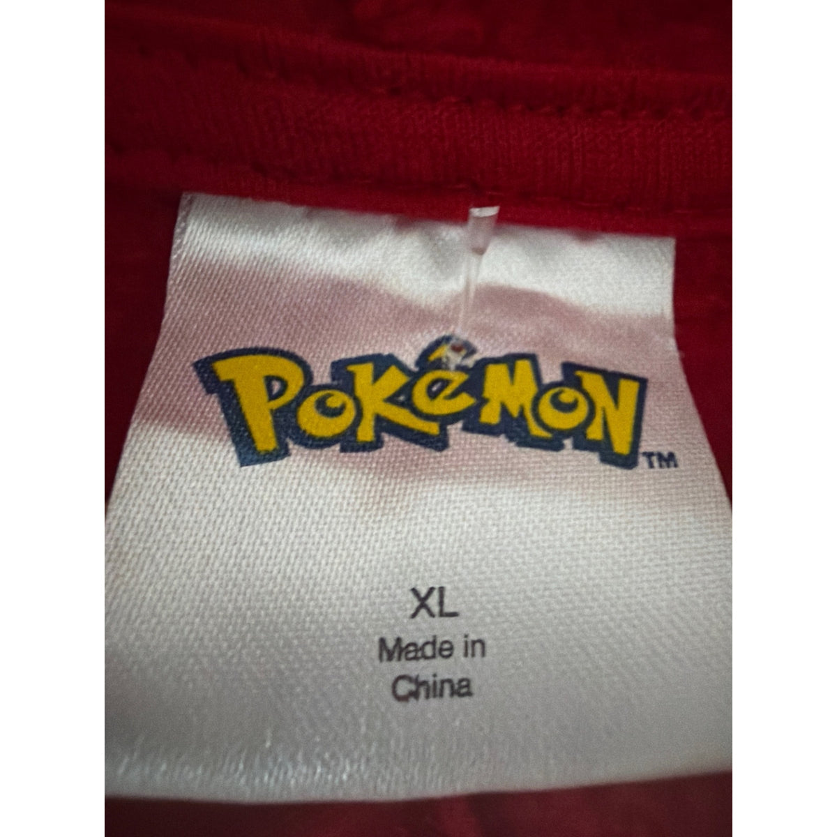 Pokémon Charizard Fire Type #0006 Graphic Hoodie XL