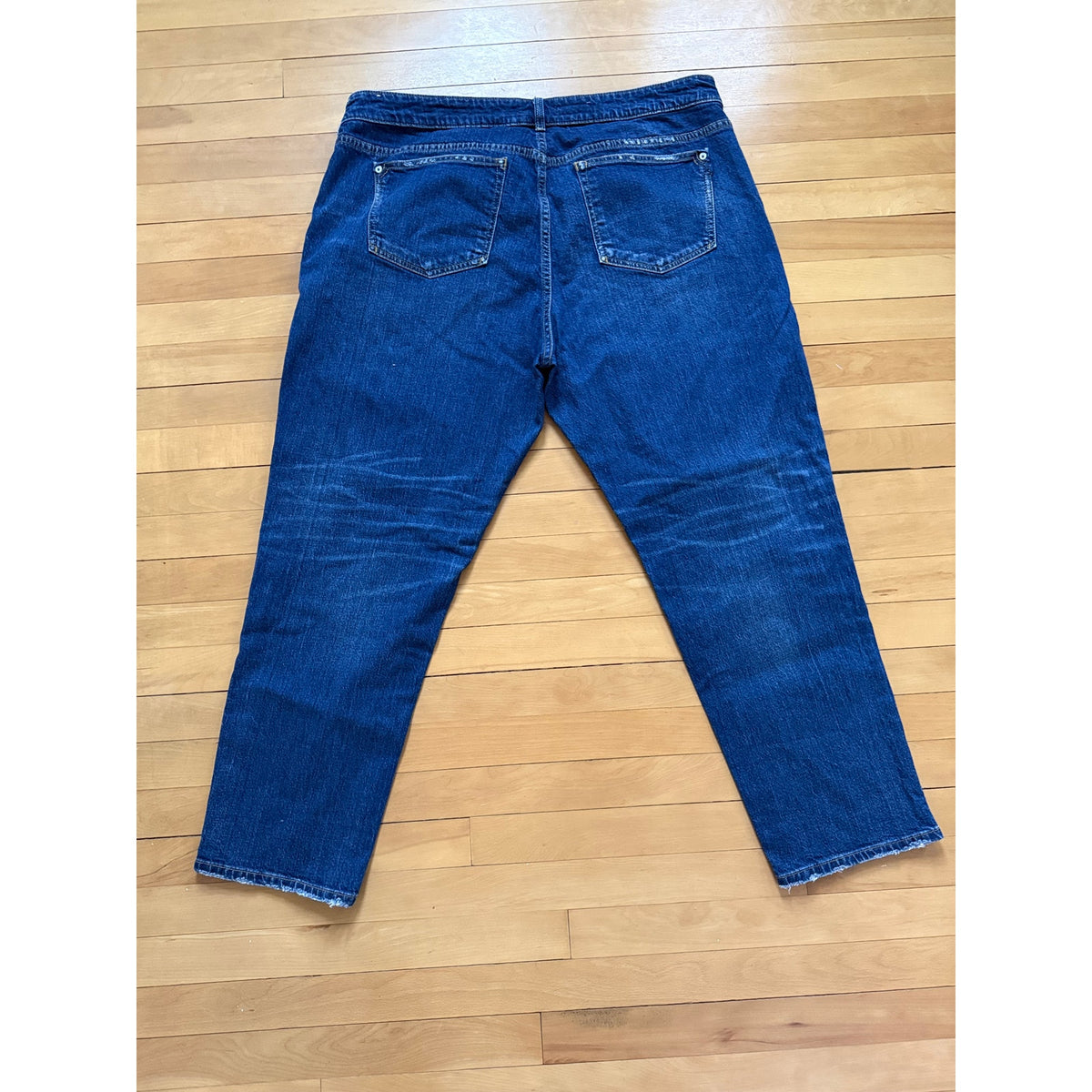 Anthropologie Pilcro Relaxed Distressed Jeans Size 18W EUC Plus Size