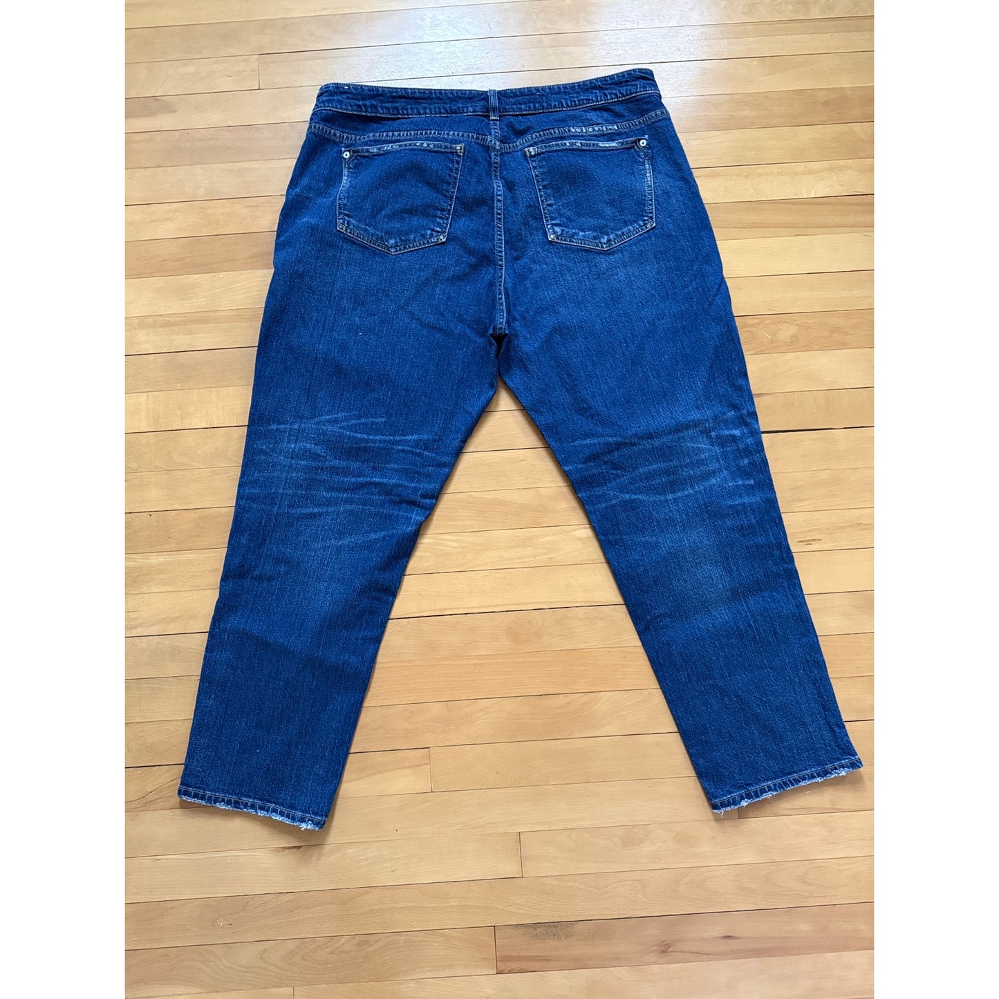 Anthropologie Pilcro Relaxed Distressed Jeans Size 18W EUC Plus Size