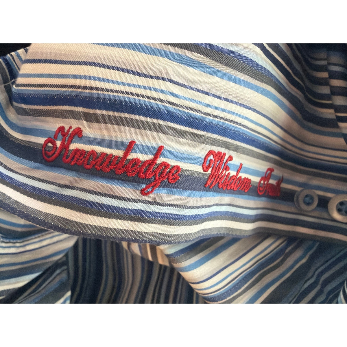 Robert Graham Classic Fit Blue Striped Long Sleeve Button-Down Shirt, Size Large 