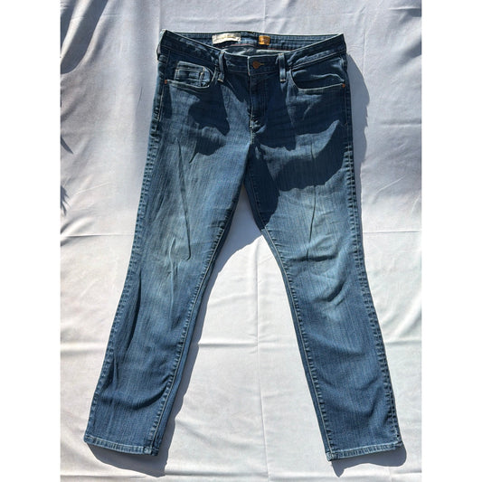 Pilcro Size 32 High Rise Straight Leg Blue Jean