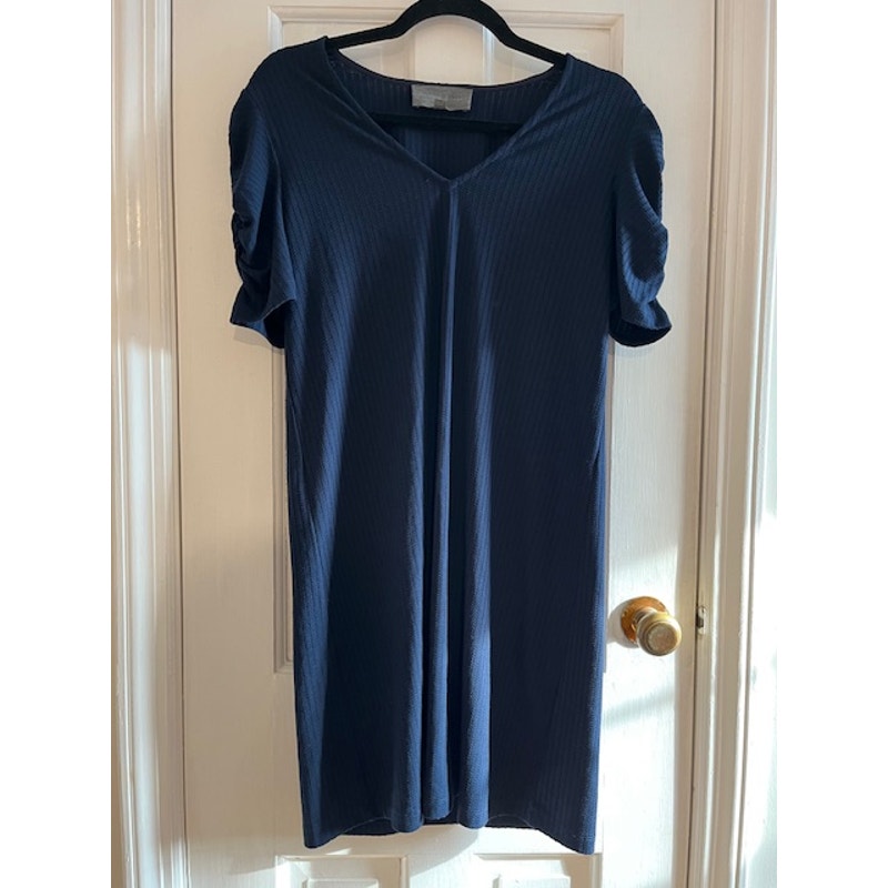 Sunday's in Brooklyn Anthropologie Blue Dress Size Small