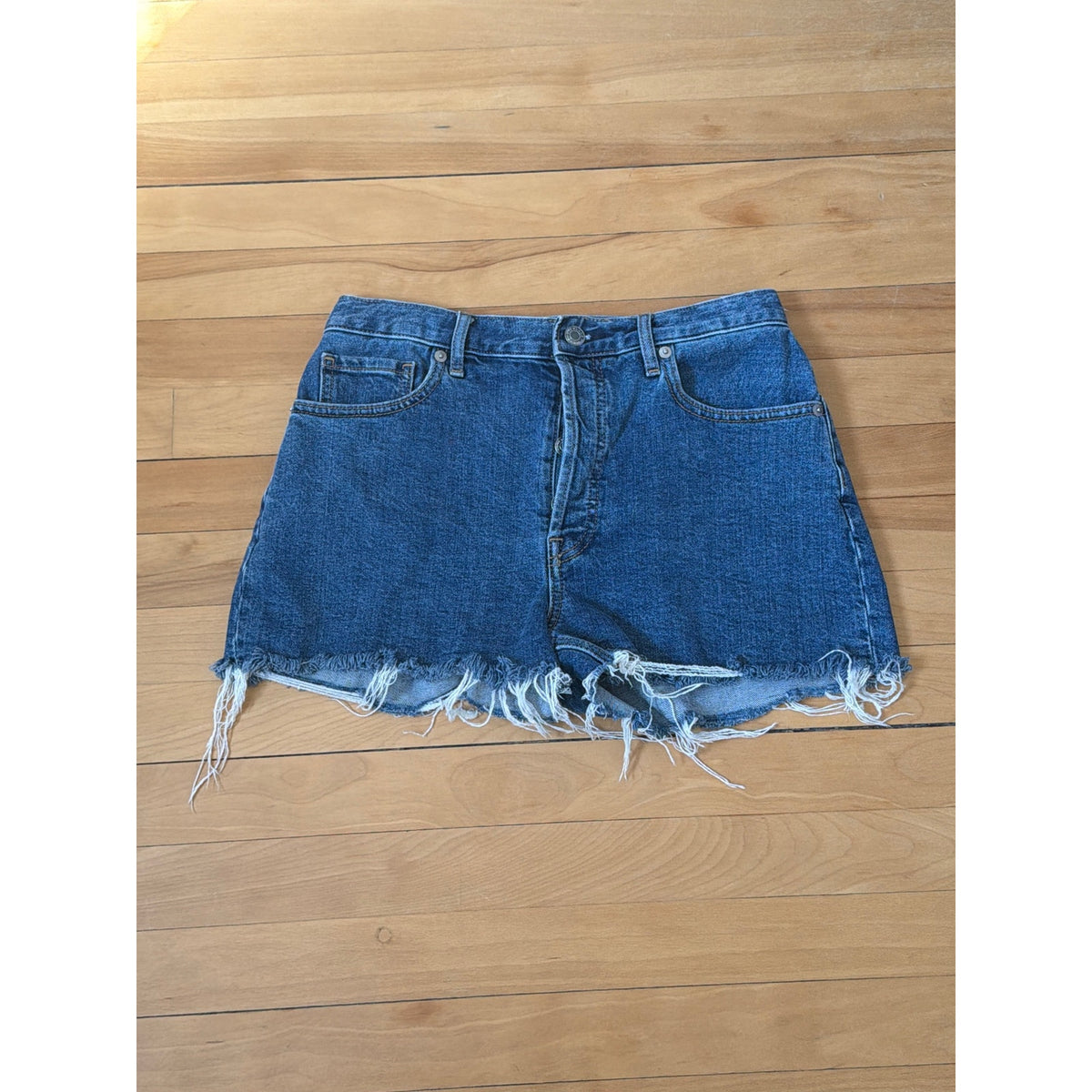 Everlane The Cheeky Short Vintage Mid-Blue 27 EUC Frayed Hem Button Fly