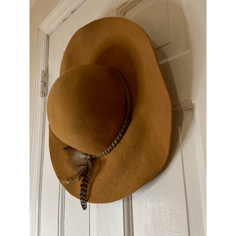 Vintage Boho Chic Brown Hat with Feather