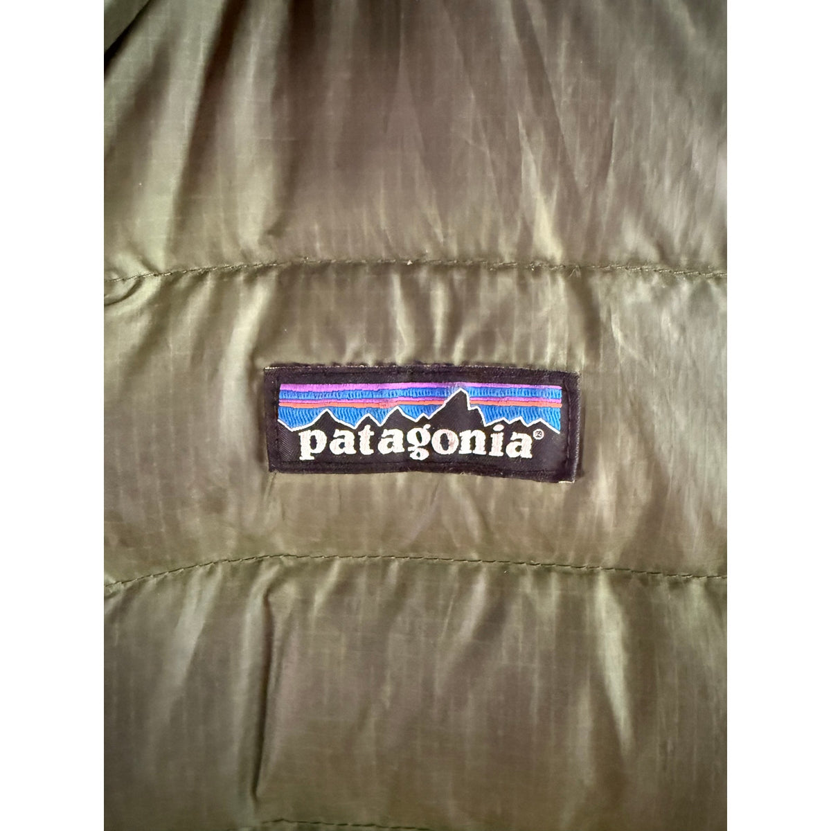 Patagonia Women’s Down Sweater Full-Zip Puffer Jacket Green Berry Lining Sz XS