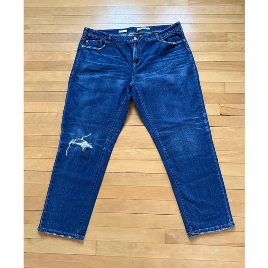 Anthropologie Pilcro Relaxed Distressed Jeans Size 18W EUC Plus Size