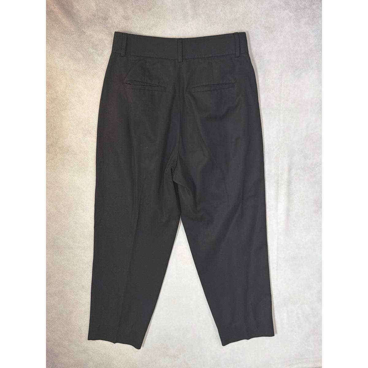 Everlane The Pleated Way-High Trousers Charcoal Black Size 2