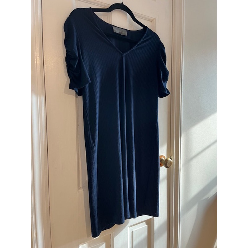 Sunday's in Brooklyn Anthropologie Blue Dress Size Small